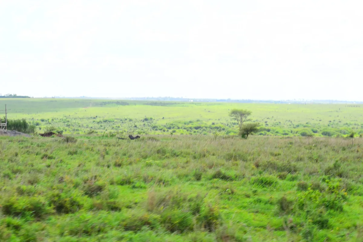 DSLR photo of Camp David Estate in Machakos — scenic residential plots near the county capital (photo 08)